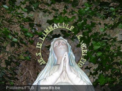 1160avi2 Daverdisse 2