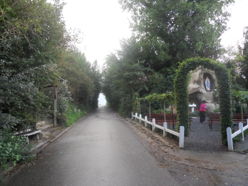 DSCN0319.JPG