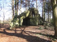 bonheiden - hk berentrodedreef - venneboslaan