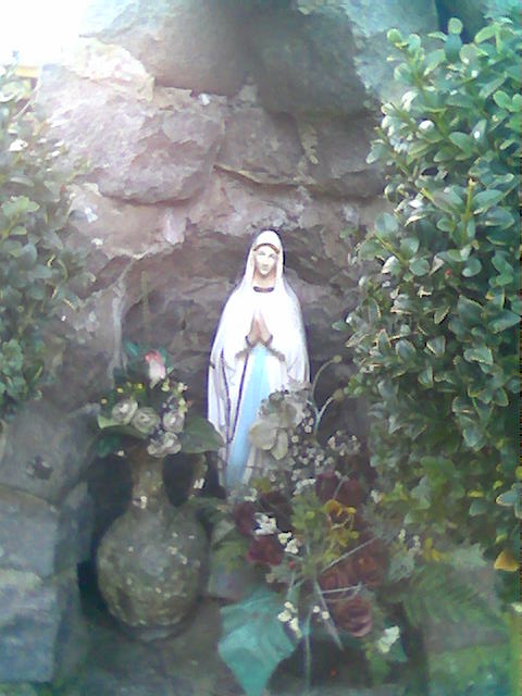 walshpotem amel afb001