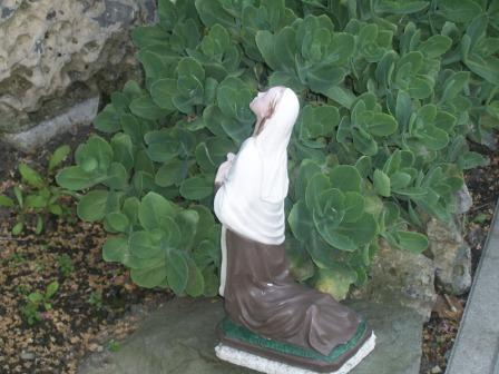 Walshoutem 4 SSA44025