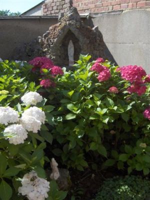 normal_AaiBaardegstr5-2