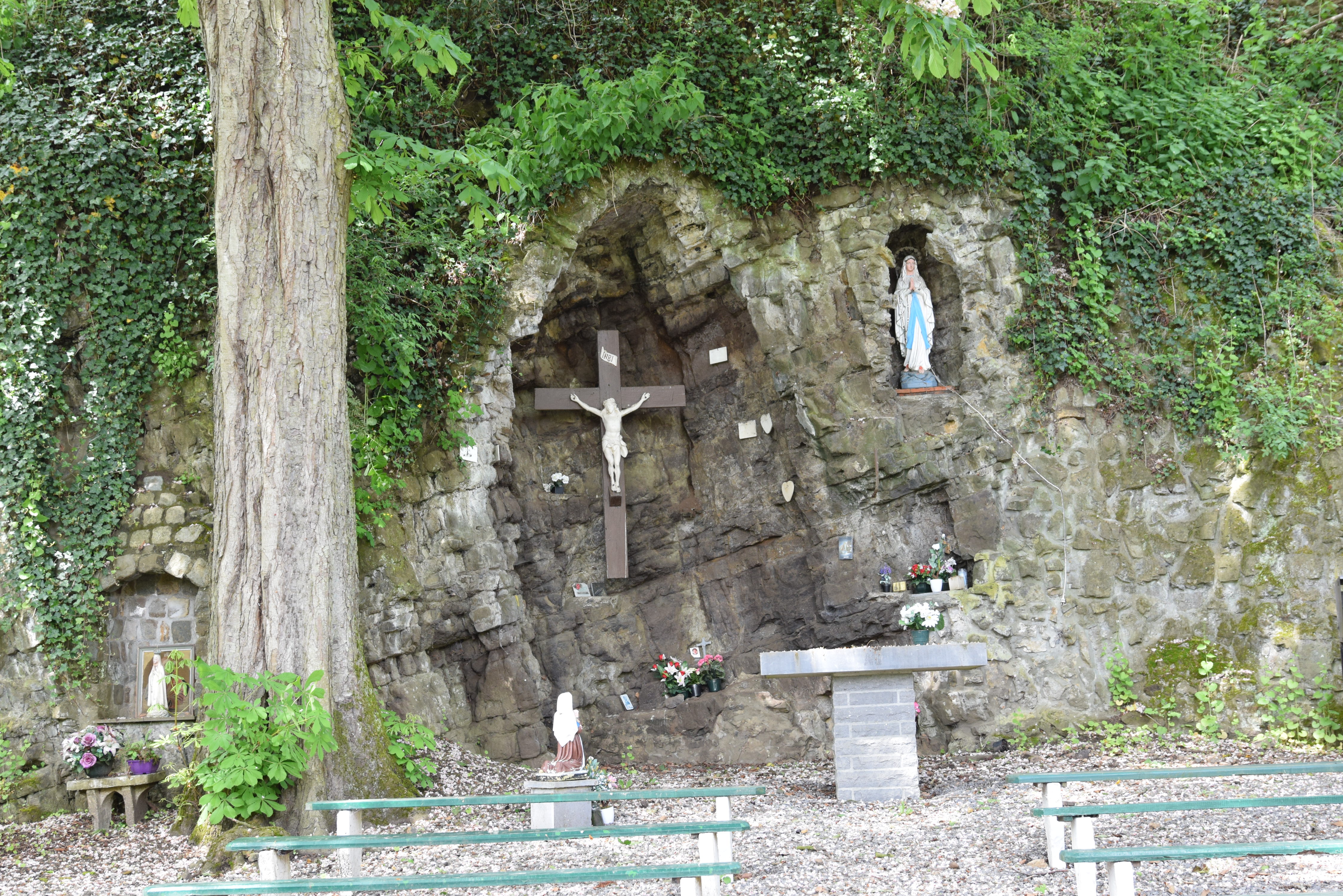 DSC_8556 montignies lez lens d