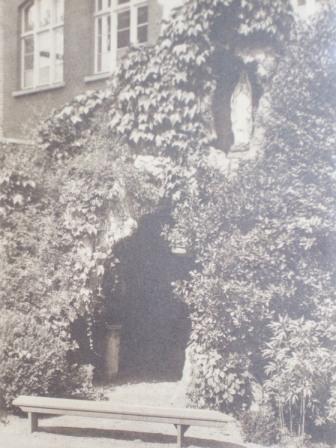 SSA44695 antw sint wilibr