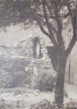 SSA44697 dendermondewilibror