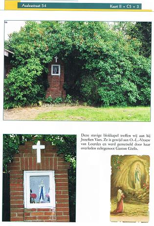 Peer Azaleastraat Vaes