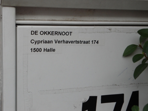 Foto's 2010 22 066.jpg