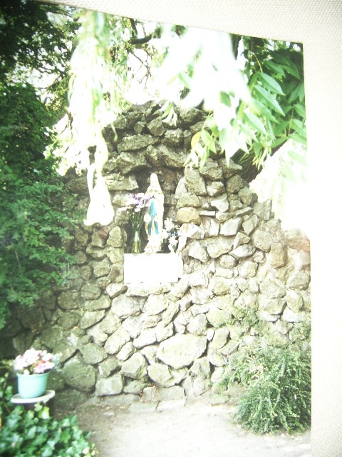 Ravels Poppel SSA45391