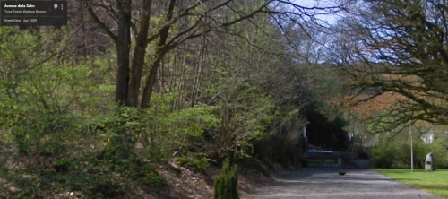 Trois-Ponts Avenue de la Salm.jpg