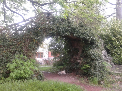 20150426_174416.jpg