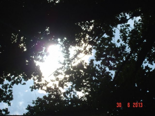 28 Jabeke 30-6-013.JPG