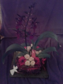 grotje binnenotje binnen