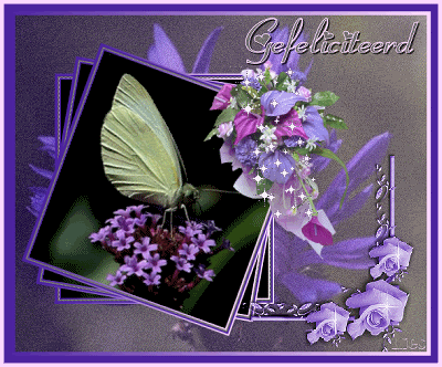 grotje binnenotje binnen