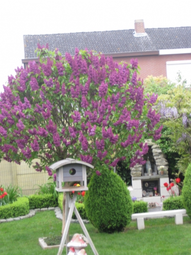 foto locatie onbekend.JPG