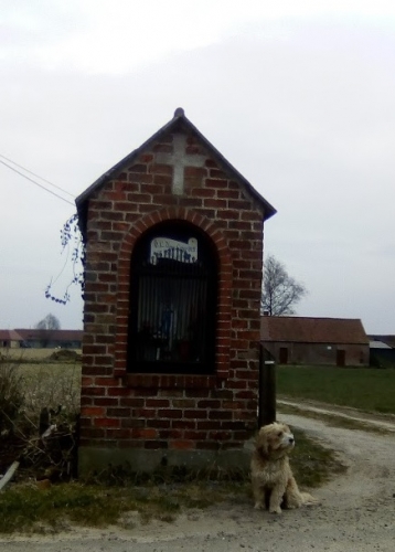 Wervik omgeving Hagelstraat kapel.jpg