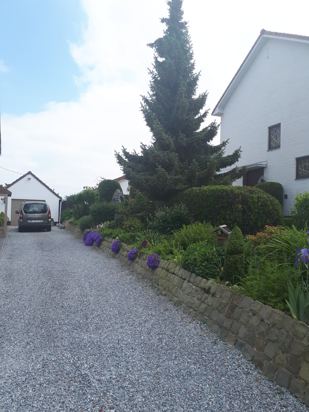 Regentwijk 45 20180519_142340