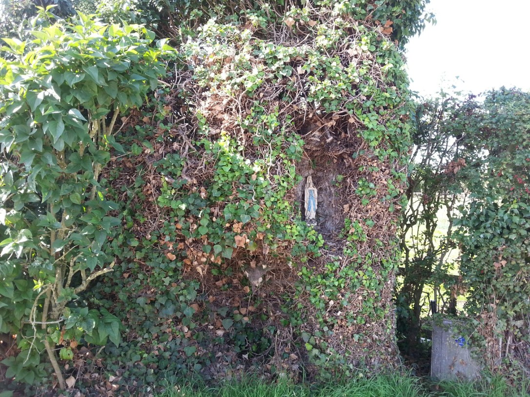 Weg op Nieuwerkerken 20190825_113759_resized